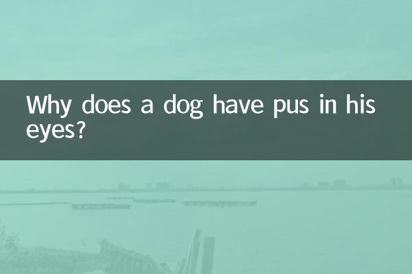 ¿Por qué un perro tiene pus en los ojos?