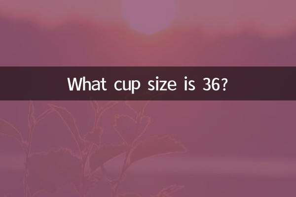 Quelle taille de bonnet fait 36 ?