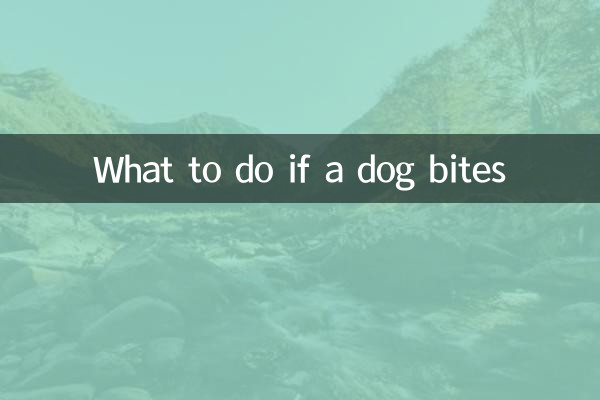 Que faire pourquoi les chiens mordent les gens