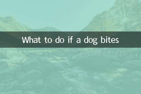 犬が人を噛む理由