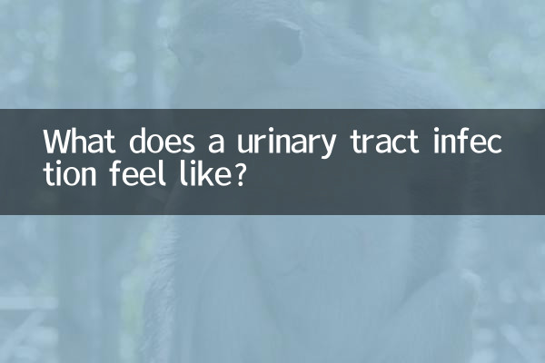 Как выглядит инфекция мочевыводящих путей?