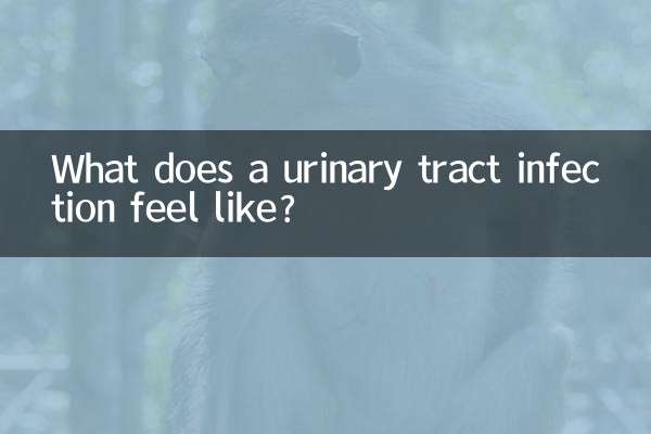 عفونت ادراری چه حسی دارد؟