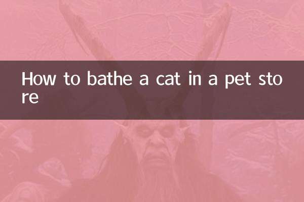 نحوه حمام کردن گربه در فروشگاه حیوانات خانگی