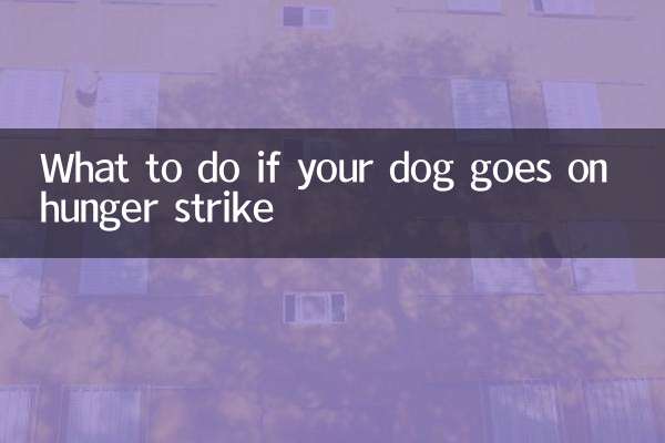 আপনার কুকুর অনশনে গেলে কি করবেন