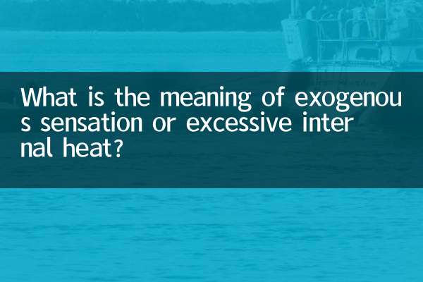 外因性の感覚や内部の過剰な熱とは何を意味しますか?