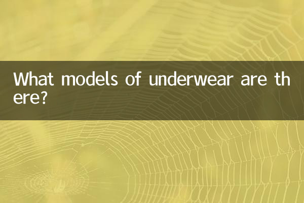 ¿Qué modelos de ropa interior hay?