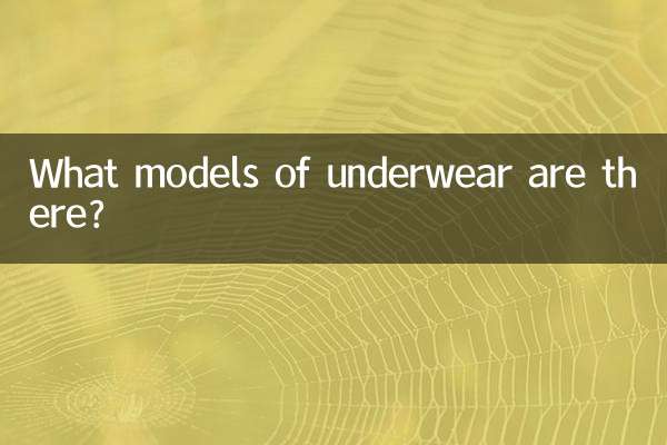 ¿Qué modelos de ropa interior hay?