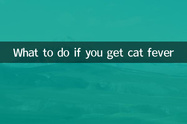 اگر آپ کو بلی کا بخار ہو تو کیا کریں