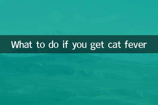 اگر آپ کو بلی کا بخار ہو تو کیا کریں