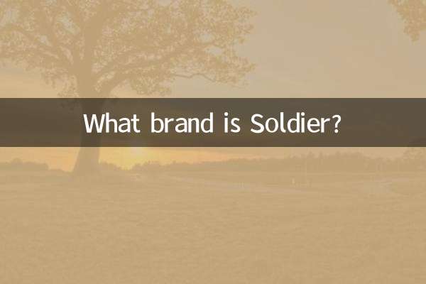 ソルジャーってどんなブランド？