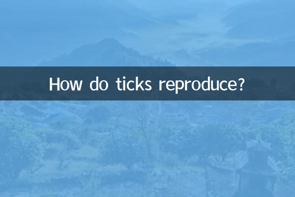 蜱虫怎么繁殖的