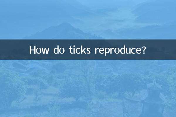 蜱虫怎么繁殖的