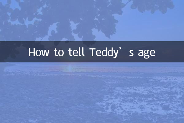 怎么看泰迪年龄