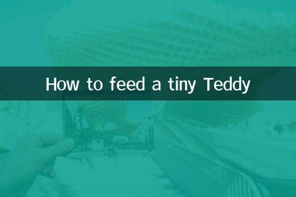 How to feed a tiny Teddy