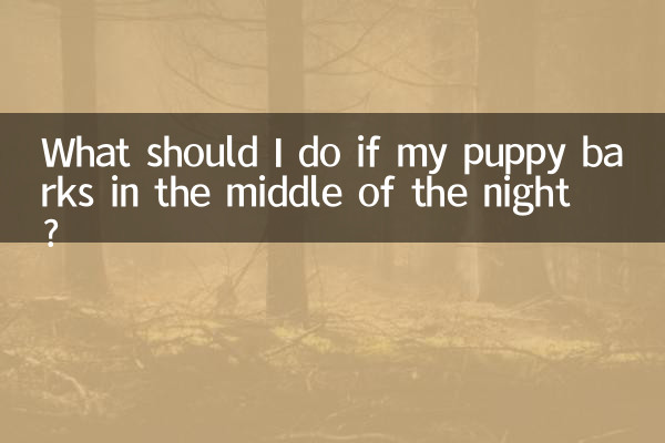 Was soll ich tun, wenn mein Welpe mitten in der Nacht bellt?