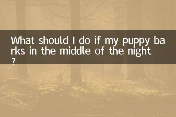 Was soll ich tun, wenn mein Welpe mitten in der Nacht bellt?