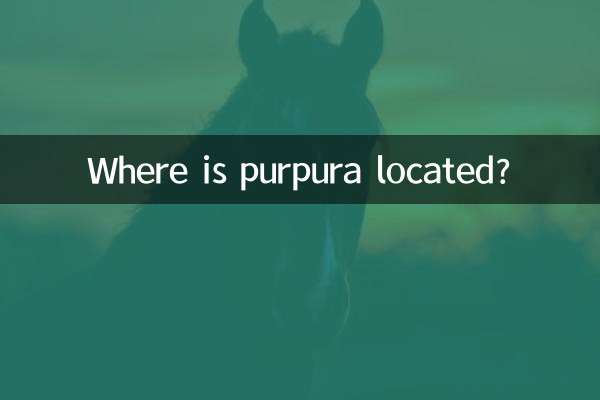 Dove si trova la porpora?