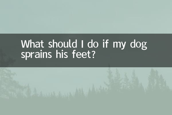개가 발을 삐었을 경우 어떻게 해야 합니까?