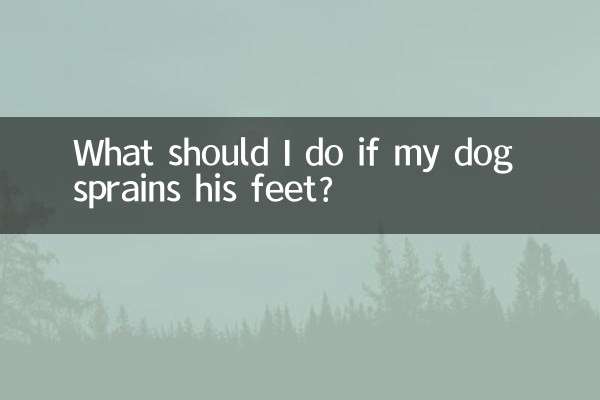 ¿Qué debo hacer si mi perro se torce las patas?