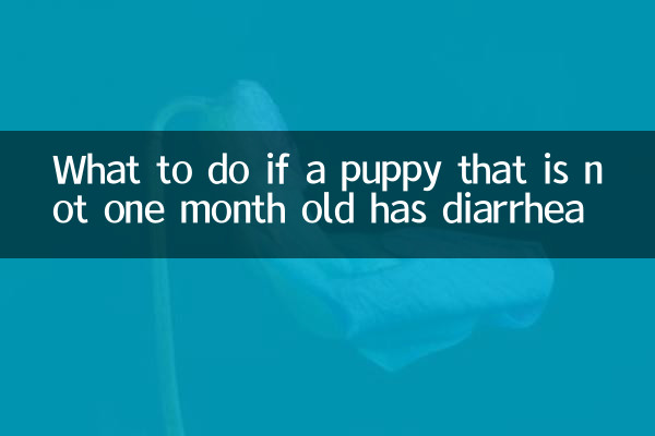 生後1か月未満の子犬が下痢をした場合の対処法