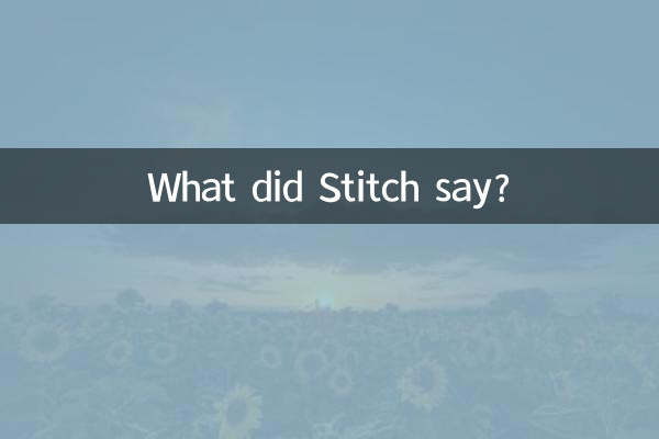 史迪仔说的是什么