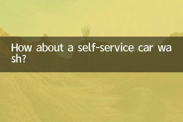 How about a self-service car wash?