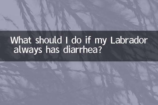 Cosa devo fare se il mio Labrador ha sempre la diarrea?