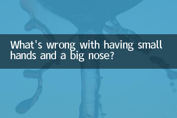 手小鼻子大什麼梗