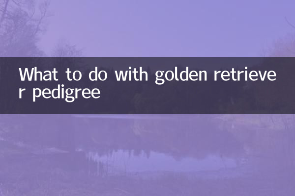 What to do with golden retriever pedigree