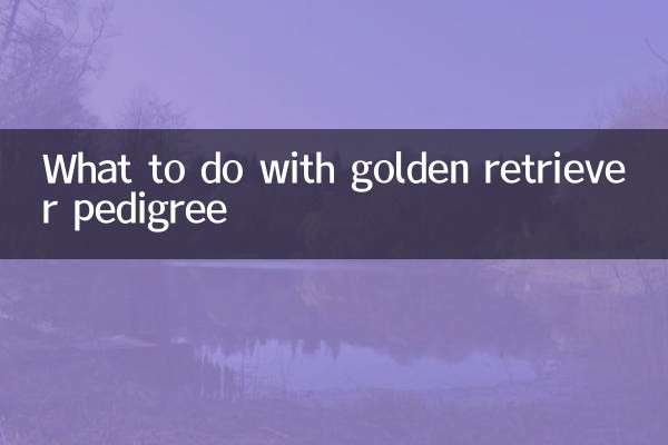 What to do with golden retriever pedigree
