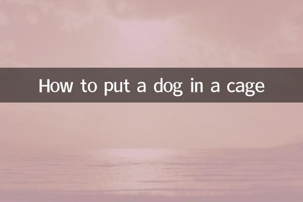 Como colocar um cachorro em uma gaiola