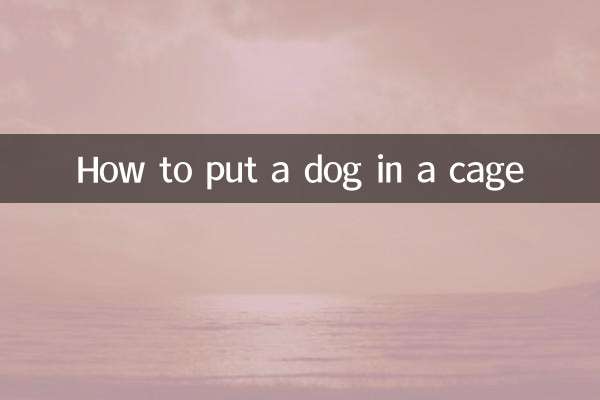 Wie man einen Hund in einen Käfig steckt