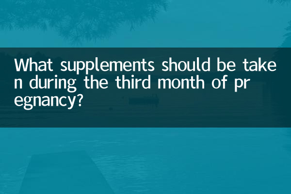 妊娠3ヶ月目に摂取すべきサプリメントは何ですか?
