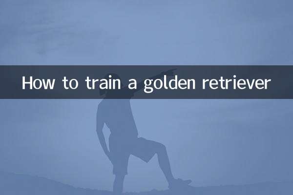 Как дрессировать золотистого ретривера