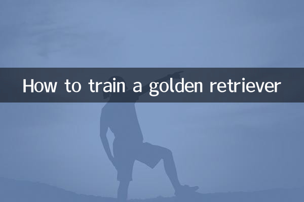 Cómo entrenar a un golden retriever