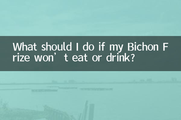 ماذا علي أن أفعل إذا كان Bichon Frize الخاص بي لا يأكل أو يشرب؟