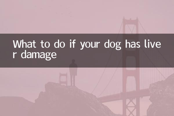 اگر سگ شما آسیب کبدی داشته باشد چه باید کرد؟