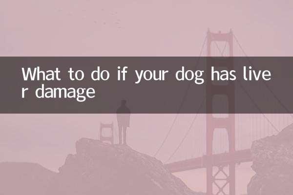 اگر سگ شما آسیب کبدی داشته باشد چه باید کرد؟