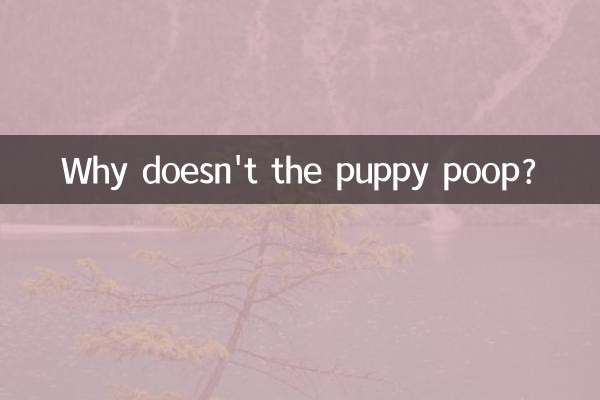 Why doesn't the puppy poop?
