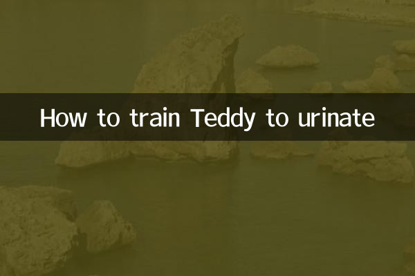 Como treinar Teddy para urinar
