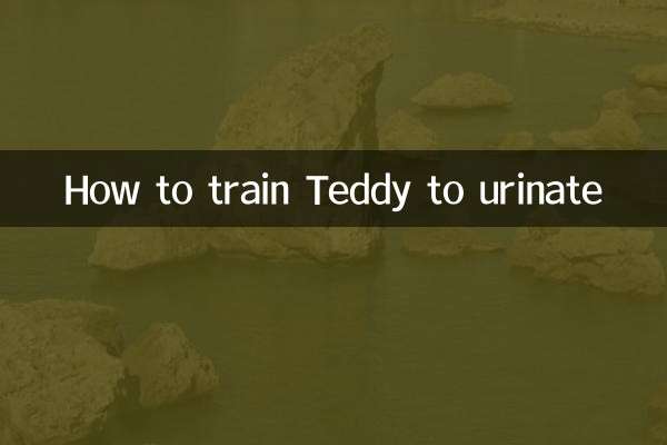 테디의 소변 훈련 방법