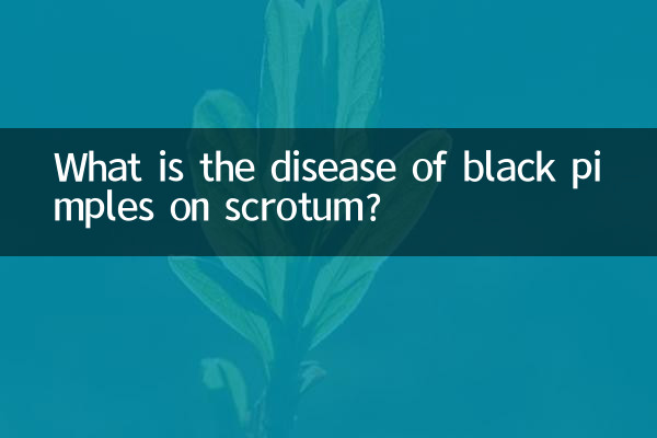 ¿Cuál es la enfermedad de los granos negros en el escroto?