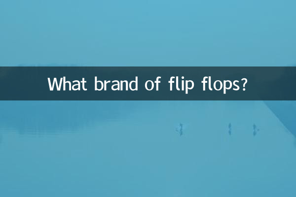 فلپ فلاپ کا کون سا برانڈ؟