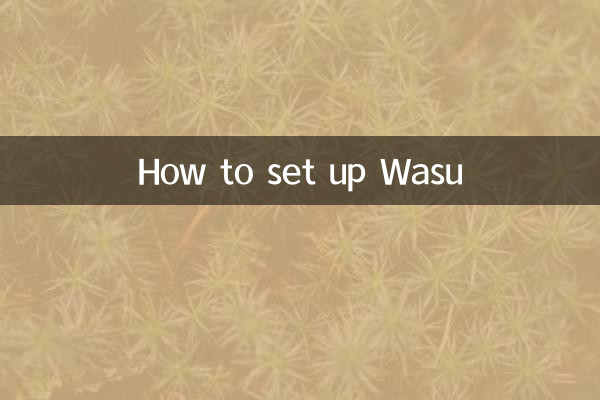 Como configurar o Wasu