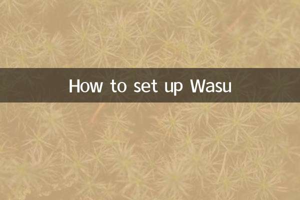 Como configurar o Wasu