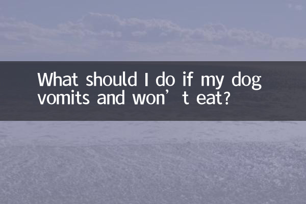 यदि मेरा कुत्ता उल्टी करे और खाना न खाए तो मुझे क्या करना चाहिए?