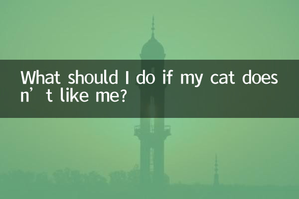 Que dois-je faire si mon chat ne m’aime pas ?