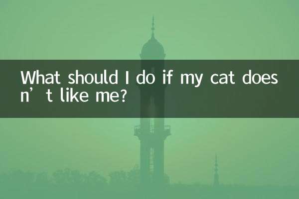 अगर मेरी बिल्ली मुझे पसंद नहीं करती तो मुझे क्या करना चाहिए?