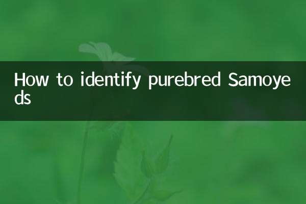 خالص نسل کے سموئڈس کی شناخت کیسے کریں