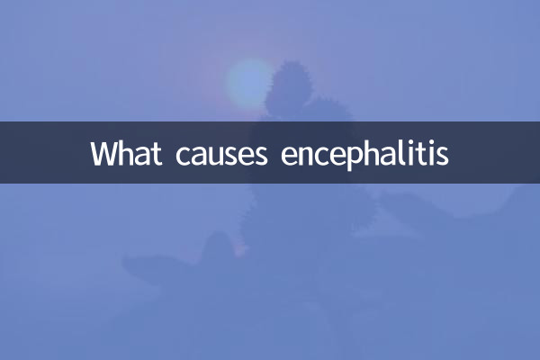 What causes encephalitis